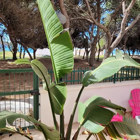 Fronte Pineta Mare Apartment Rivabella