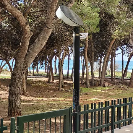 Fronte Pineta Mare Apartmán *