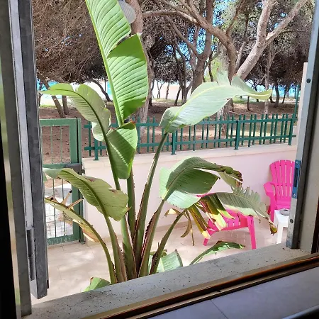 Fronte Pineta Mare Rivabella