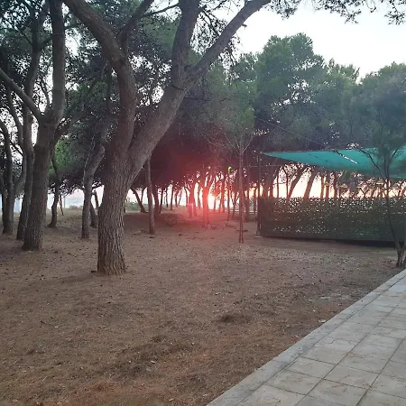 Fronte Pineta Mare Rivabella