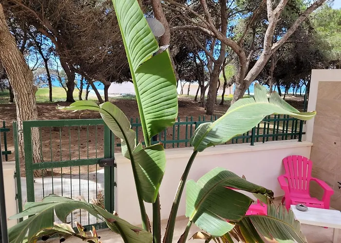 Fronte Pineta Mare Lejlighed Rivabella