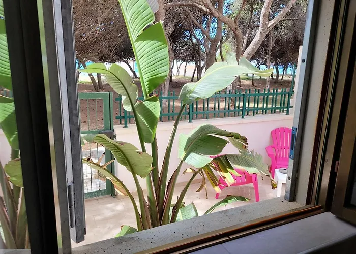 Fronte Pineta Mare Rivabella